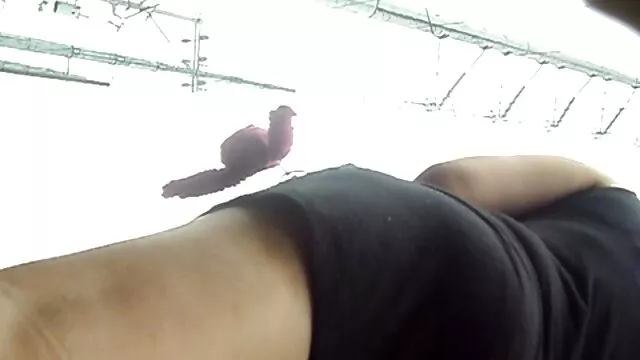 une masturbation streaming film porno entier sexy sur une webcam